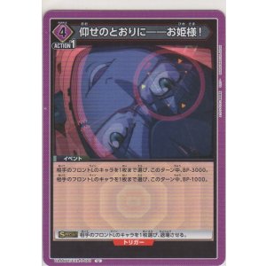 画像: 仰せのとおりに――お姫様！