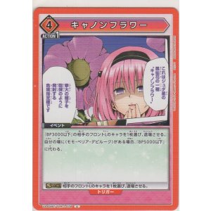 画像: キャノンフラワー