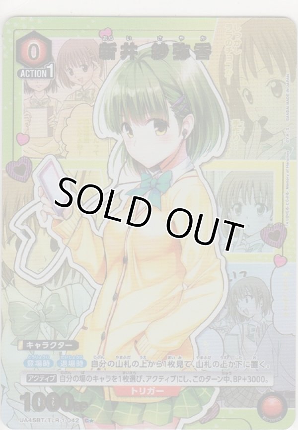 画像1: 新井 紗弥香≪パラレル≫