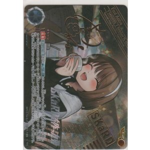 画像: SKaRDを作った男≪ＥｘＰ≫