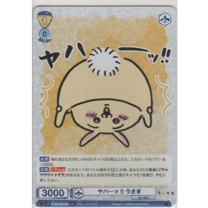 画像: ヤハーッ!! うさぎ