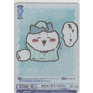 画像: ねちゃいそう ハチワレ