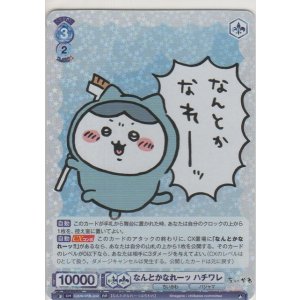 画像: なんとかなれーッ ハチワレ