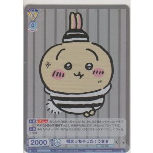 画像: 捕まっちゃった！ うさぎ