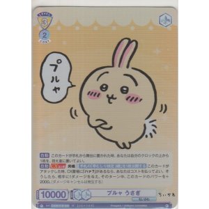 画像: プルャ うさぎ