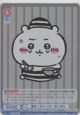 画像: 捕まっちゃった！ ちいかわ