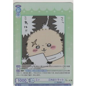 画像: こッ・・・・これは!! ラッコ