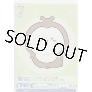画像: カブトムシ