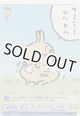 画像: ウ〜ラ〜ヤハヤハ うさぎ