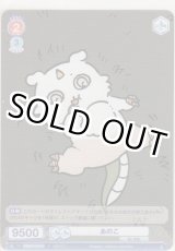 画像: あのこ