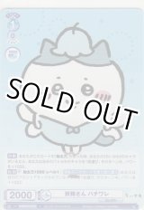 画像: 妖精さん ハチワレ