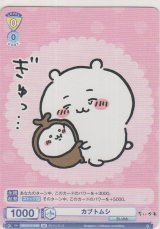 画像: カブトムシ≪ＢＲ≫
