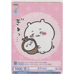 画像: カブトムシ≪ＢＲ≫