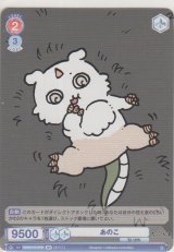 画像: あのこ≪ＢＲ≫