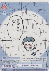 画像: 喜びがない ハチワレ