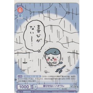 画像: 喜びがない ハチワレ