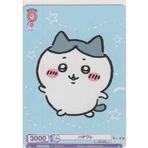 画像: ハチワレ