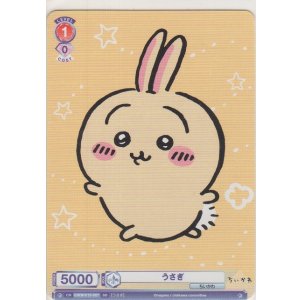 画像: うさぎ