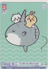 画像: マンボウ ちいかわとうさぎ