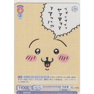 画像: イイイイイイヤァアァアァアッハ!!! うさぎ