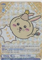 画像: YAHA!! うさぎ
