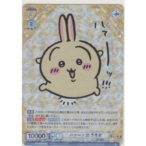 画像: ハァーッ!!! うさぎ