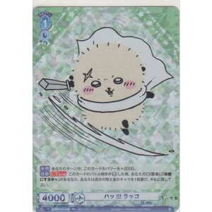 画像: ハッ!!! ラッコ