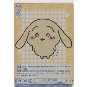 画像: たれ耳 うさぎ