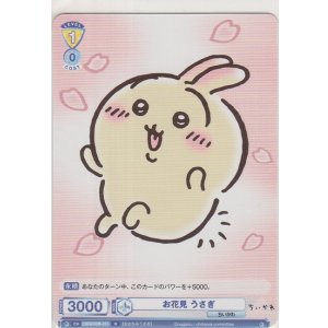 画像: お花見 うさぎ
