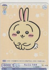 画像: ちょこん うさぎ