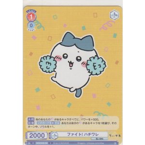 画像: ファイト！ ハチワレ