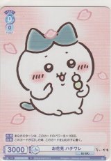 画像: お花見 ハチワレ