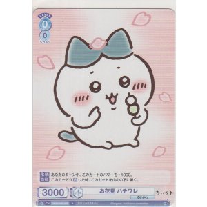 画像: お花見 ハチワレ