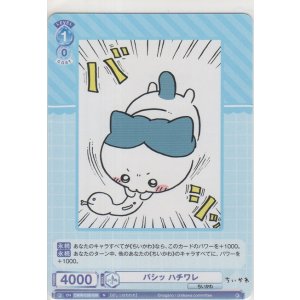 画像: バシッ ハチワレ