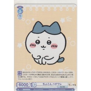 画像: ちょこん ハチワレ