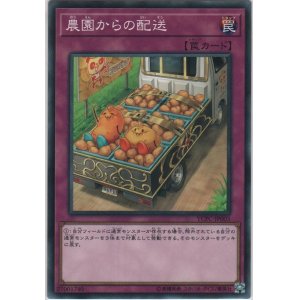 画像: 農園からの配送【ノーマル】