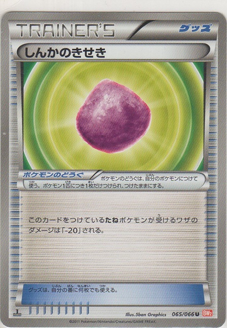 画像1: しんかのきせき