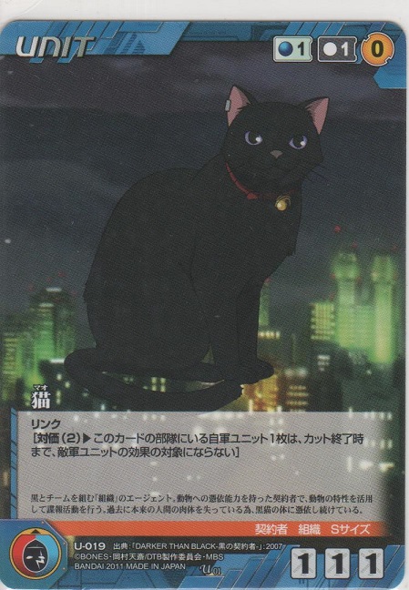 画像1: 猫