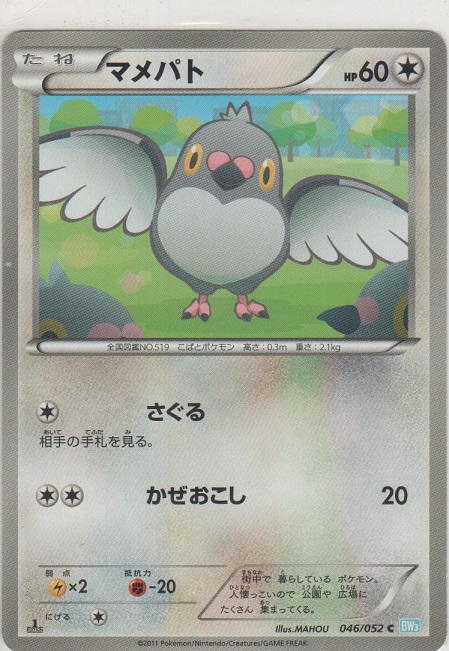画像1: マメパト