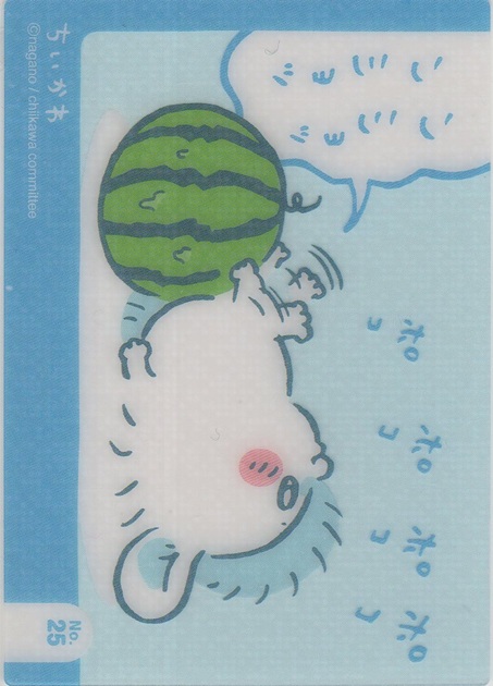 画像1: モモンガ スイカ