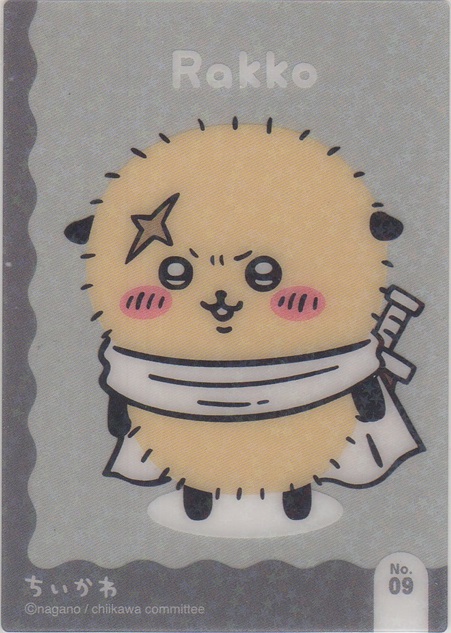 画像1: ラッコ