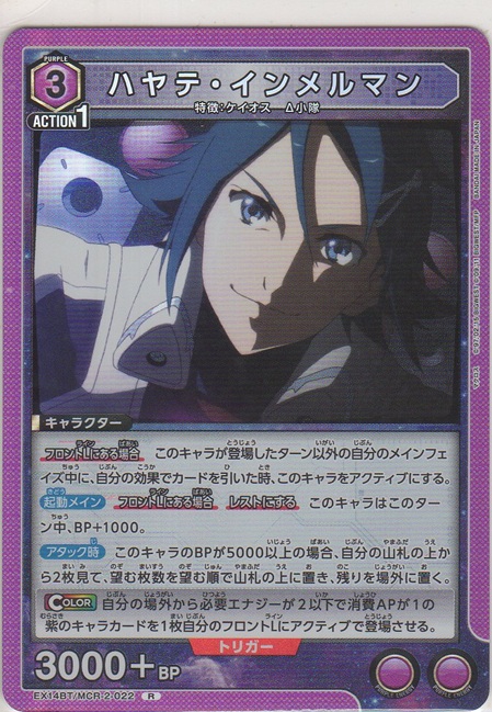 画像1: ハヤテ・インメルマン