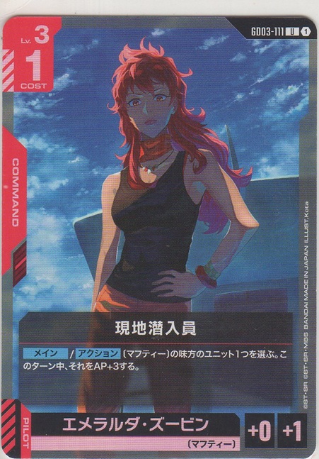 画像1: 現地潜入員