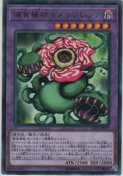 画像1: 捕食植物キメラフレシア【レア】