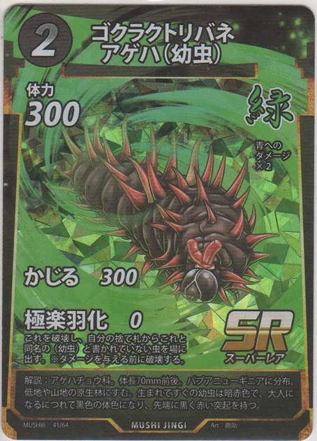 画像1: ゴクラクトリバネアゲハ（幼虫）