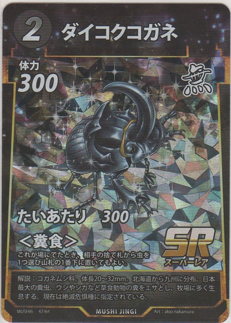 画像1: ダイコクコガネ