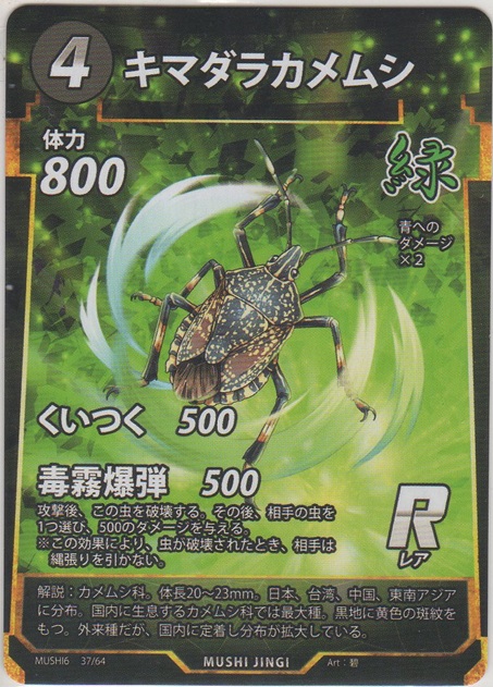 画像1: キマダラカメムシ