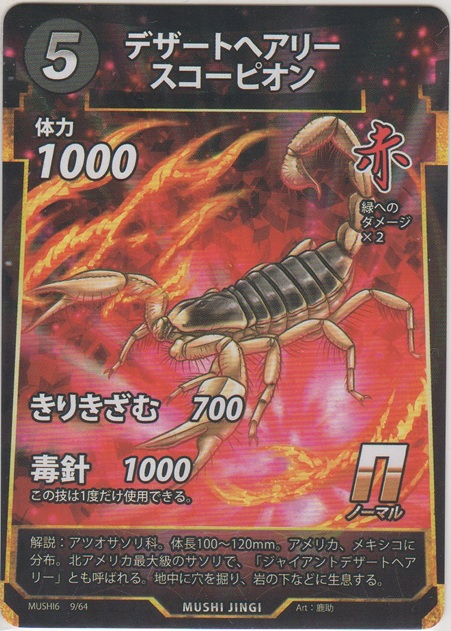 画像1: デザートヘアリースコーピオン