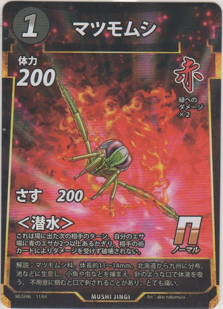 画像1: マツモムシ