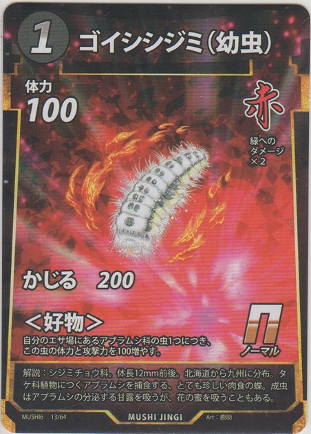 画像1: ゴイシシジミ（幼虫）